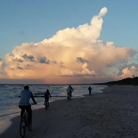 Dolores Goscinne * 미엘렌코