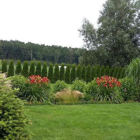 게스트하우스 Dolores Goscinne