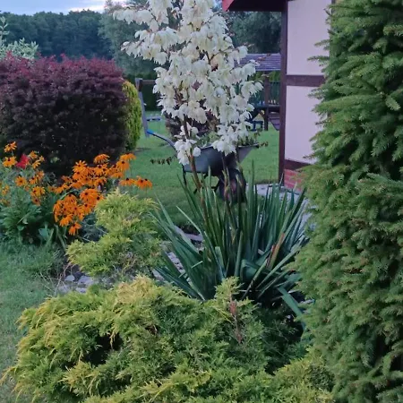 Guest house Dolores Goscinne *