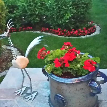 Dolores Goscinne בית הארחה