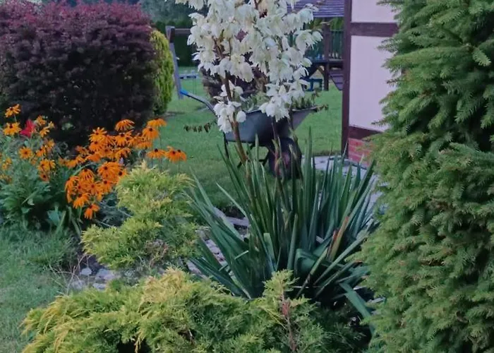 Guest house Dolores Goscinne *