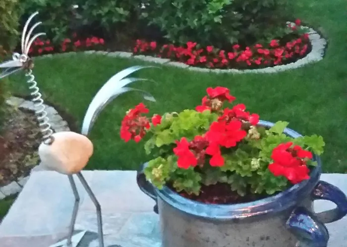 Dolores Goscinne Guest house